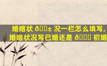 婚姻状 🐱 况一栏怎么填写,婚姻状况写已婚还是 🐒 初婚